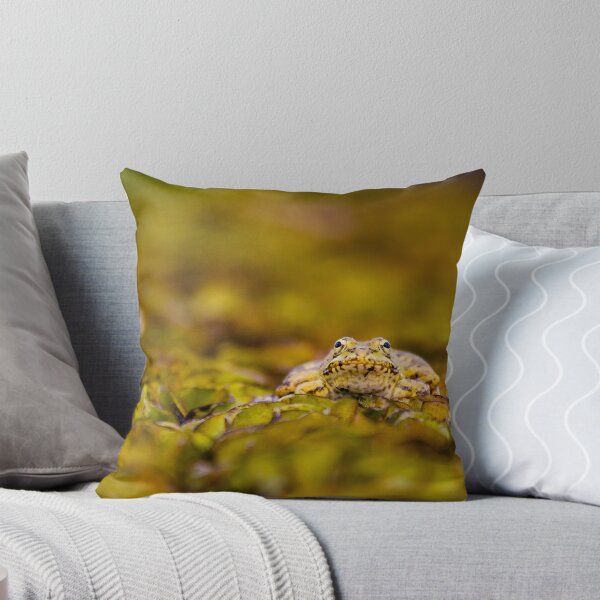 Item preview, Cute frog, in pond, looking curious, green colors. designed and sold by AylaHarbich.