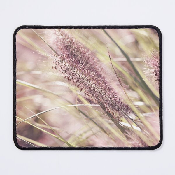 Item preview, Soft Pink Pennisetum Blooms designed and sold by Imladris01.
