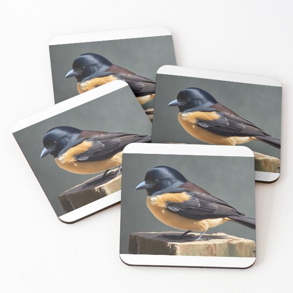 Item preview, butcherbird,  Uccello Macellaio designed and sold by ikiglam.