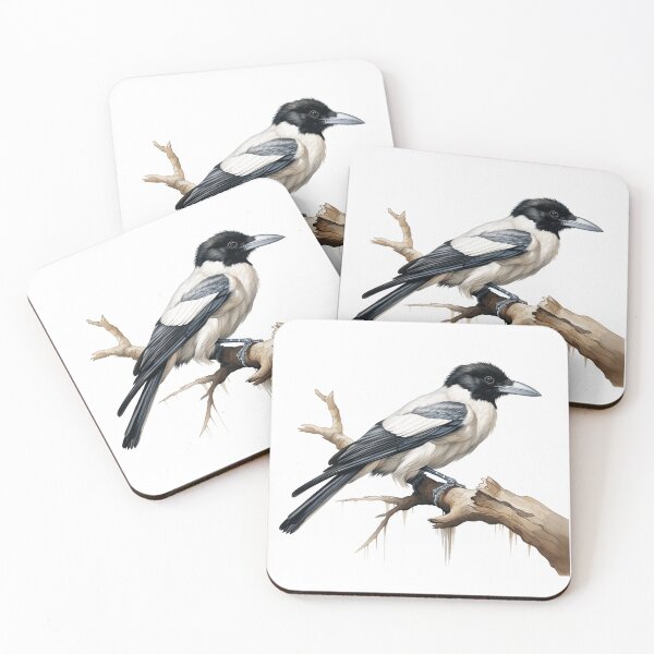 Item preview, Songs of the Butcherbird designed and sold by the QIMP.