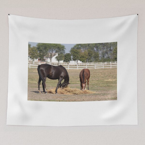 Item preview, black horse and brown foal eat hay designed and sold by goceris.