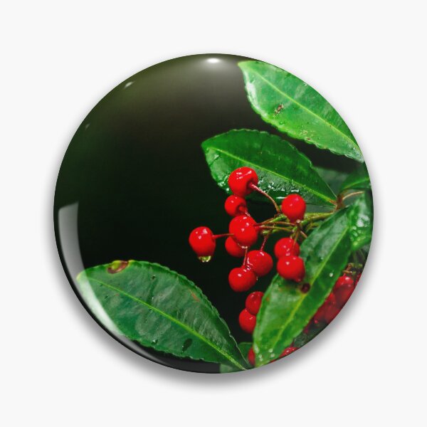 Item preview, Holly in nature, green background, close up. designed and sold by AylaHarbich.