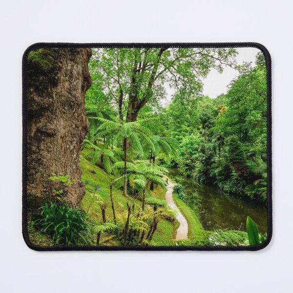 Item preview, Terra Nostra garden, botanical garden in Azores, Sao Miguel island, Portugal designed and sold by AylaHarbich.