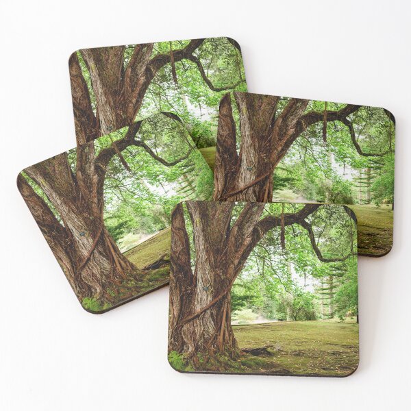 Item preview, Terra Nostra garden, botanical garden in Azores, Sao Miguel island, Portugal designed and sold by AylaHarbich.
