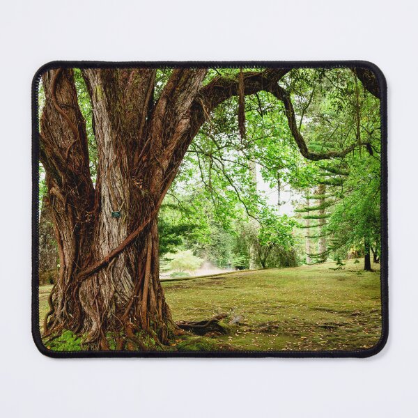 Item preview, Terra Nostra garden, botanical garden in Azores, Sao Miguel island, Portugal designed and sold by AylaHarbich.