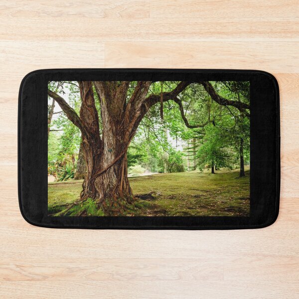 Item preview, Terra Nostra garden, botanical garden in Azores, Sao Miguel island, Portugal designed and sold by AylaHarbich.