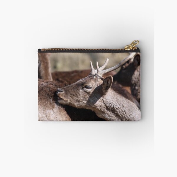 Item preview, deer close up portrait nature scene designed and sold by goceris.