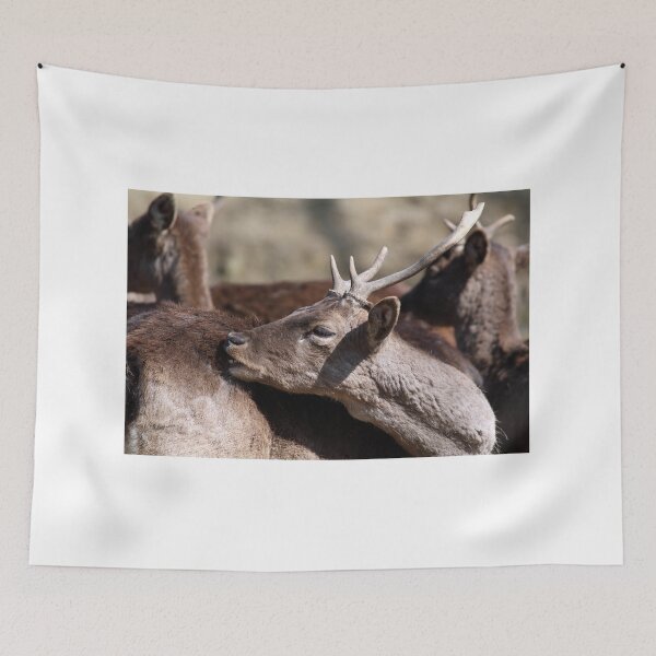 Item preview, deer close up portrait nature scene designed and sold by goceris.