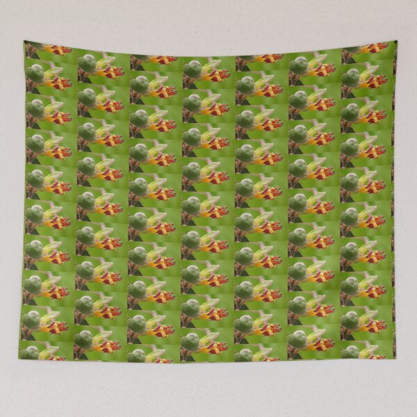 Item preview, Fuchsia procumbens  'Wirral'  Also known as 'Variegata' and 'Argentea'  designed and sold by Chris Burrows.