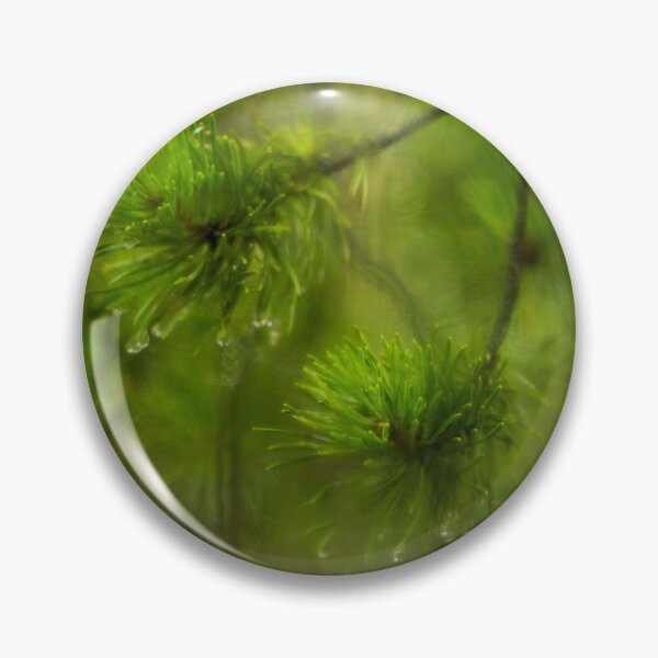 Item preview, Pine branches with water drops in the forest designed and sold by LiubovAvdeeva.