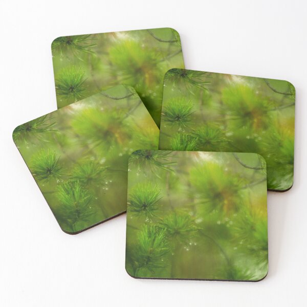 Item preview, wet pine branch after the rain designed and sold by LiubovAvdeeva.