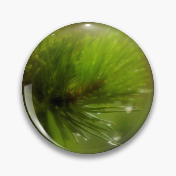 Item preview, Pine tree branch with drops of dew designed and sold by LiubovAvdeeva.