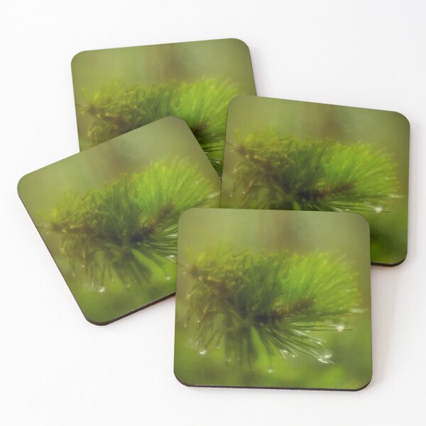 Item preview, Pine tree branch with drops of dew designed and sold by LiubovAvdeeva.