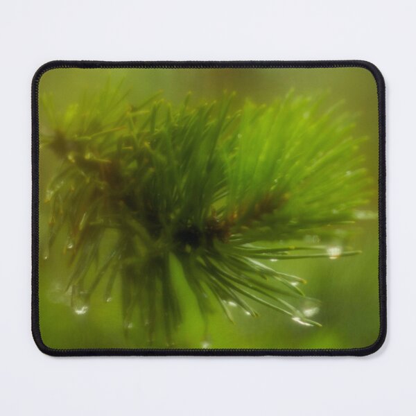 Item preview, Pine tree branch with drops of dew designed and sold by LiubovAvdeeva.
