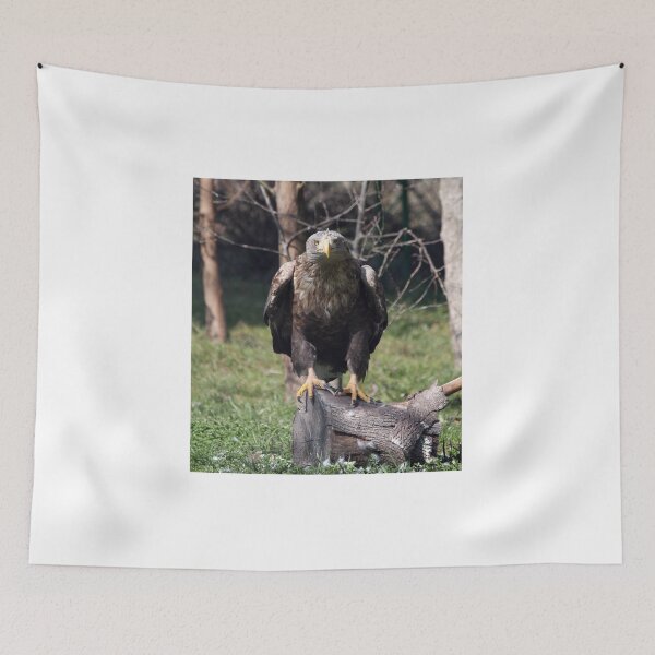 Item preview, European white tailed eagle wildlife scene designed and sold by goceris.