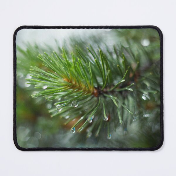 Item preview, wet pine branch after the rain designed and sold by LiubovAvdeeva.