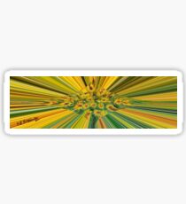 Colour Rays Sticker