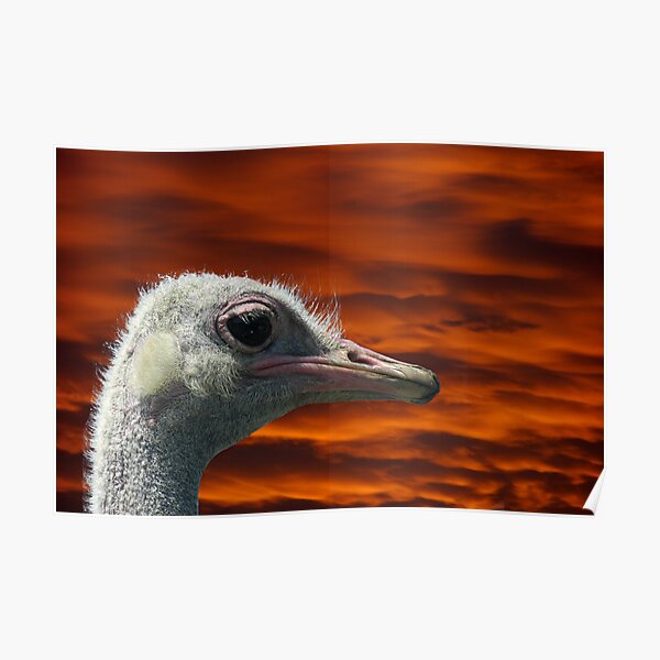 Never Ending Vigilance Poster