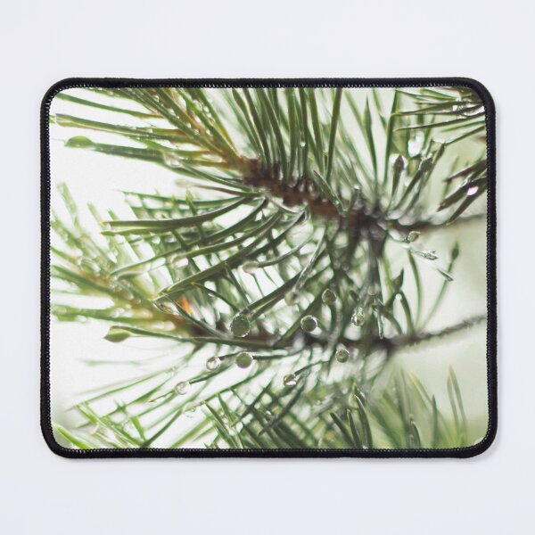 Item preview, wet spruce twig after rain designed and sold by LiubovAvdeeva.