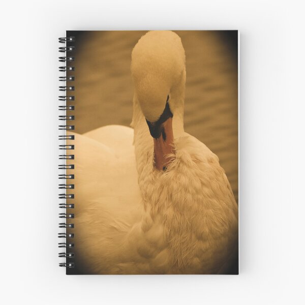 Item preview, Stunning Swan  designed and sold by jimmyboysnapz.