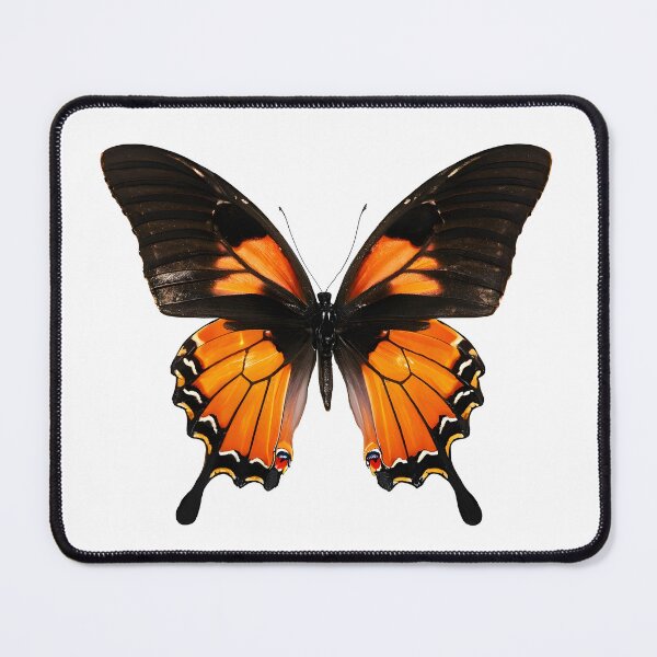 Item preview, Orange Butterfly Art designed and sold by digibreezy.