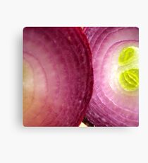 Red Onion Canvas Print