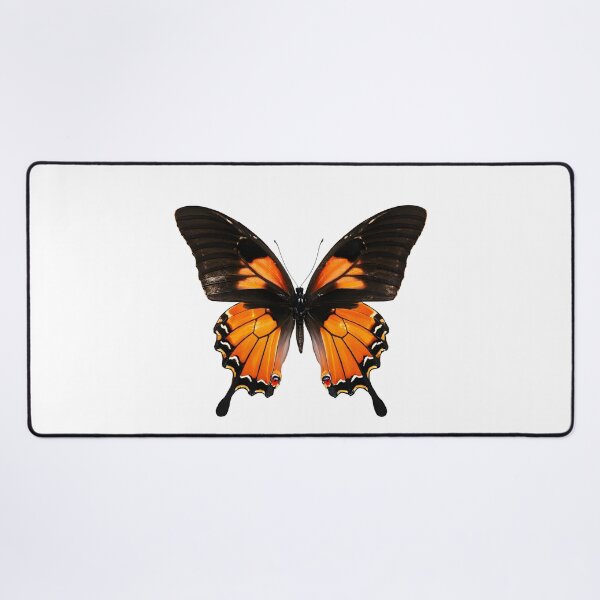 Item preview, Orange Butterfly Art designed and sold by digibreezy.