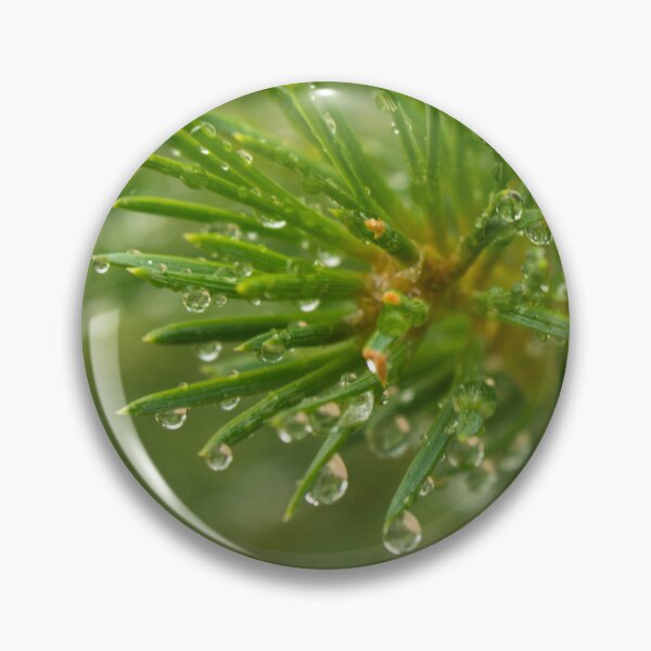 Item preview, Green spruce branch with drops of dew, close-up designed and sold by LiubovAvdeeva.