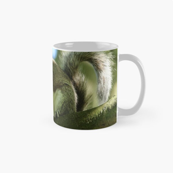 Item preview, Grey Squirrel designed and sold by jimmyboysnapz.