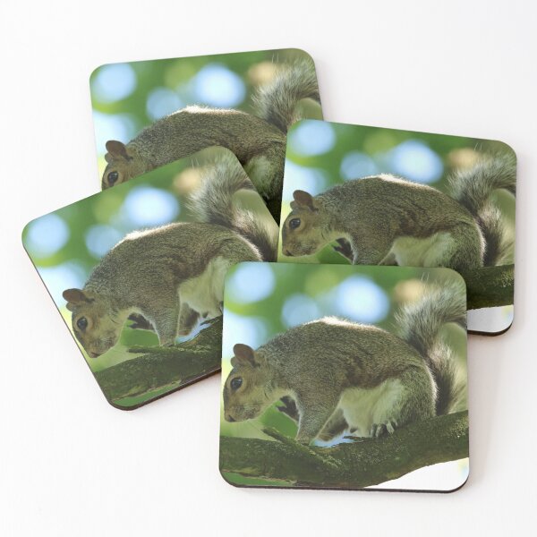 Item preview, Grey Squirrel designed and sold by jimmyboysnapz.