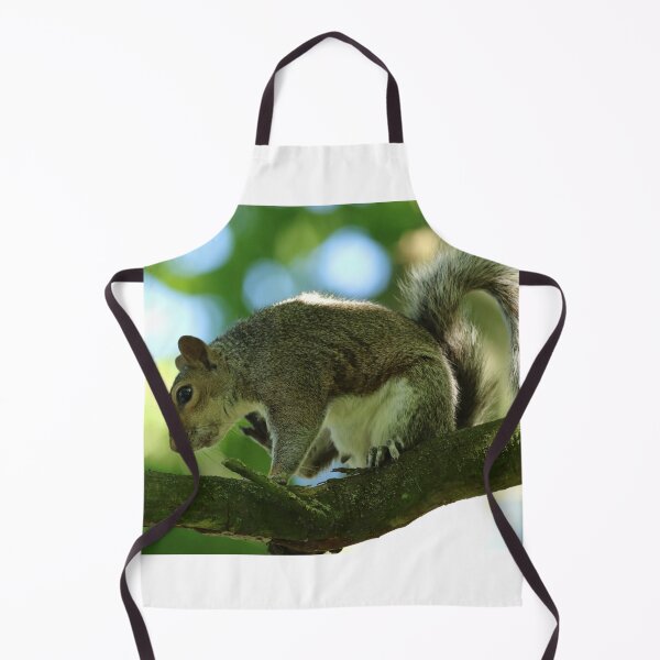 Item preview, Grey Squirrel designed and sold by jimmyboysnapz.