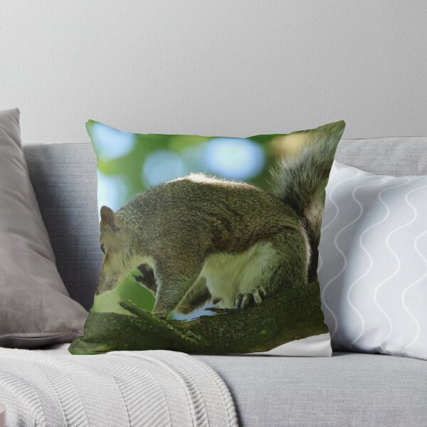 Item preview, Grey Squirrel designed and sold by jimmyboysnapz.