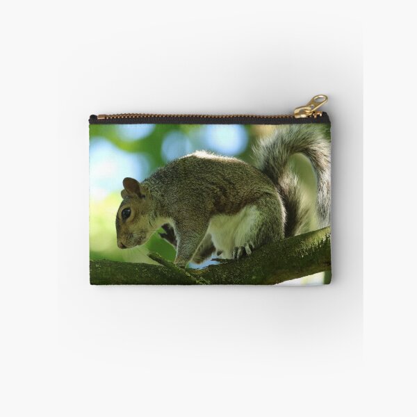 Item preview, Grey Squirrel designed and sold by jimmyboysnapz.