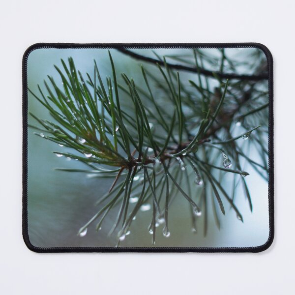 Item preview, Pine branch with water drops on a blurred background of pine needles designed and sold by LiubovAvdeeva.