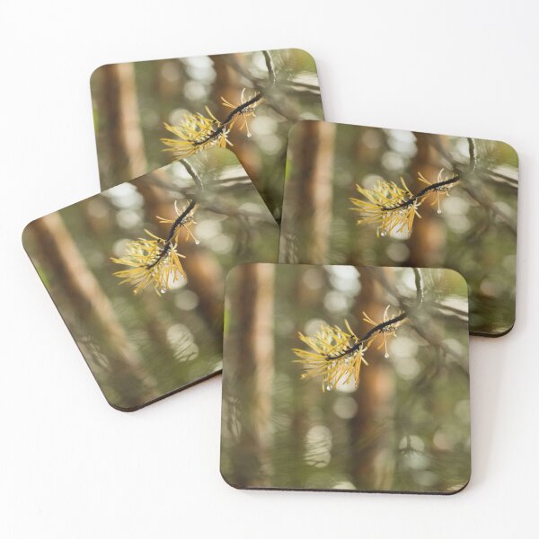 Item preview, spruce branch close-up on bokeh background designed and sold by LiubovAvdeeva.