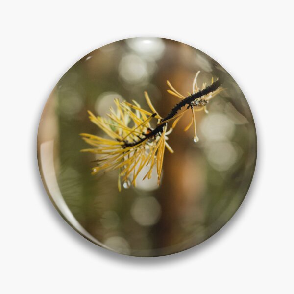 Item preview, spruce branch close-up on bokeh background designed and sold by LiubovAvdeeva.