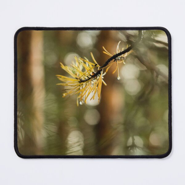 Item preview, spruce branch close-up on bokeh background designed and sold by LiubovAvdeeva.