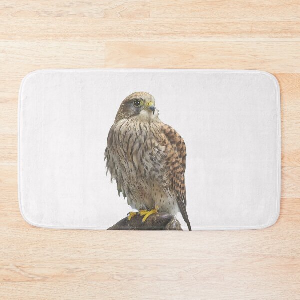 Item preview, European Kestrel designed and sold by Bluelizzy.