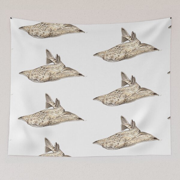 Item preview, Angel shark  designed and sold by chloeyzoard.