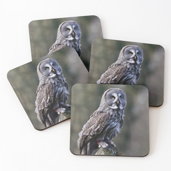 Item preview, The Great Grey Owl designed and sold by jimmyboysnapz.