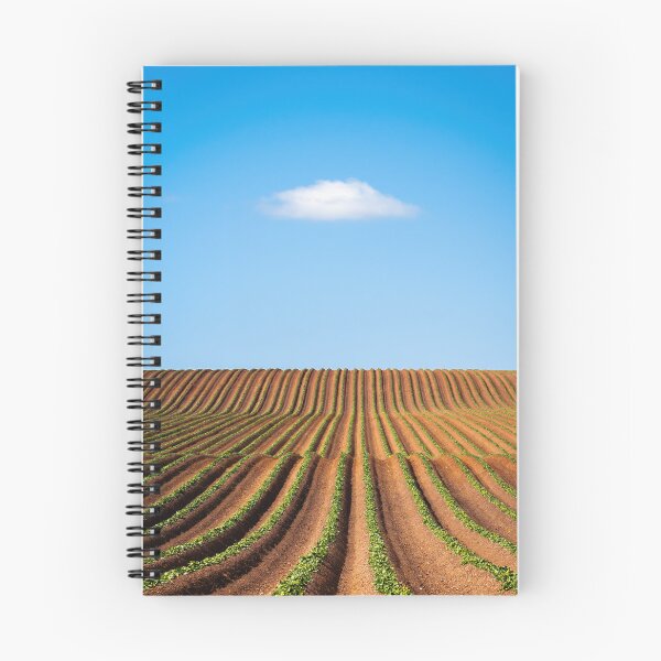 Item preview, A Lonely Cloud Drifts by a Potato Field designed and sold by arranalex.