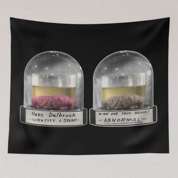 Item preview, Do Not Use This Brain! ABNORMAL / Hans Delbruck designed and sold by ourkid.