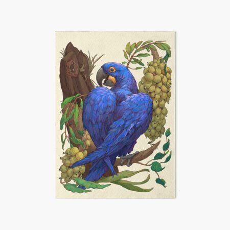 Hyacinth Macaw Art Board Print