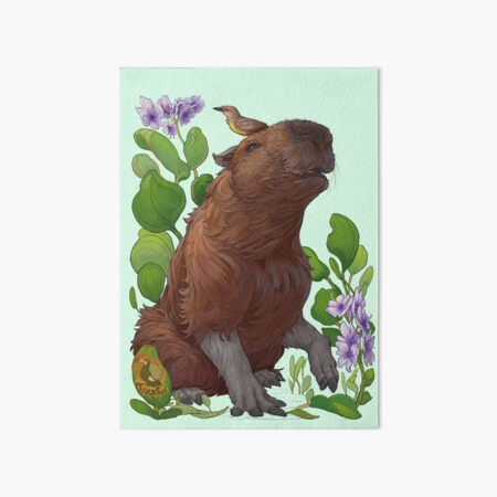 Capybara Art Board Print
