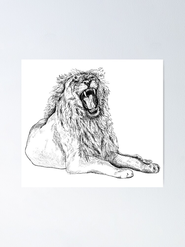 How to Draw a Lion with Pencil Very Easy and Step by Step - YouTube