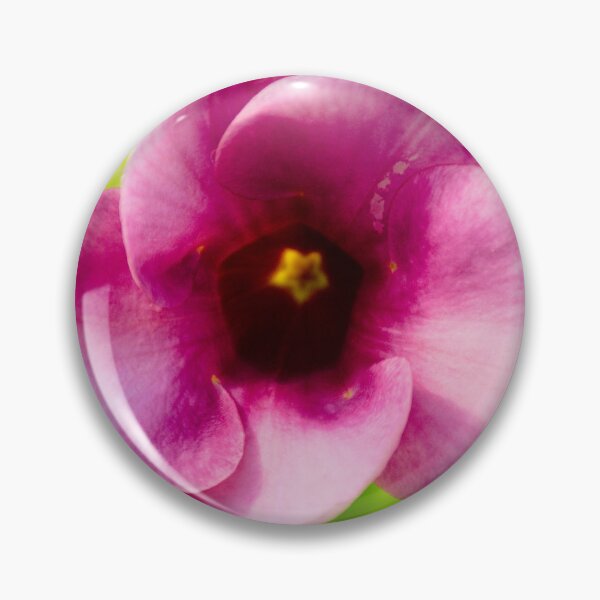 Item preview, Allamanda blanchetii Bloom  designed and sold by MercerImages.