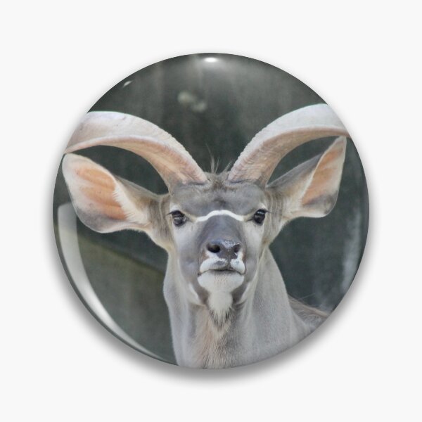 Item preview, Kudu designed and sold by Robin Raible.