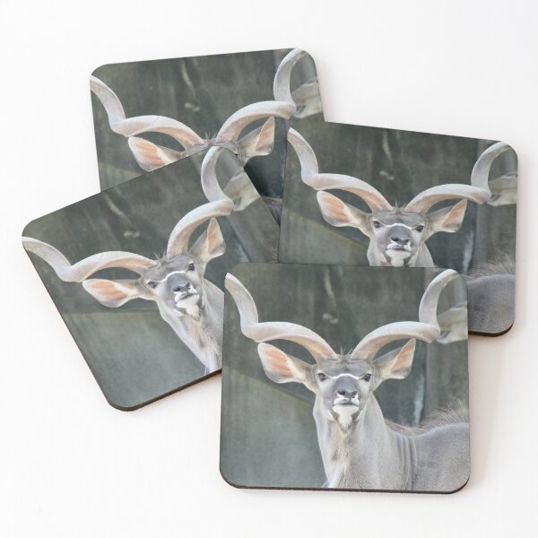 Item preview, Kudu designed and sold by Robin Raible.