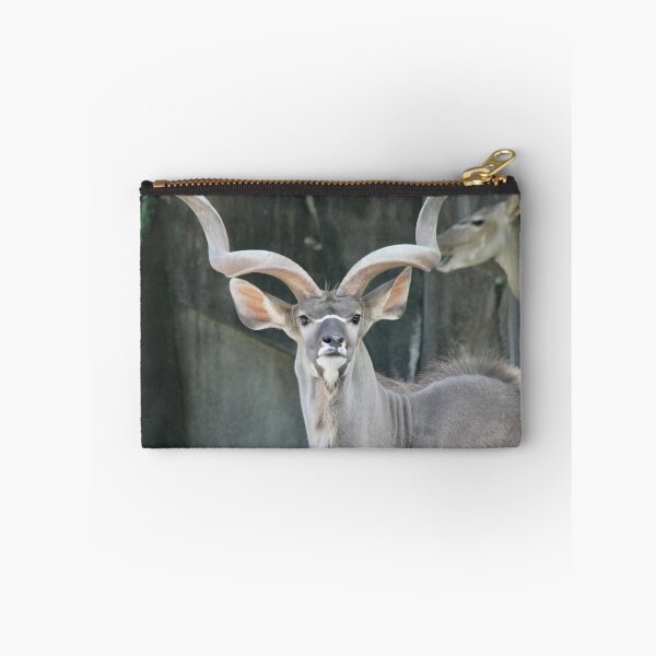 Item preview, Kudu designed and sold by Robin Raible.