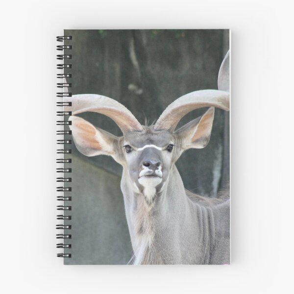 Item preview, Kudu designed and sold by Robin Raible.